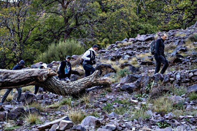 Full Day Tour to Atlas Mountains in Imlil Valley - FAQ