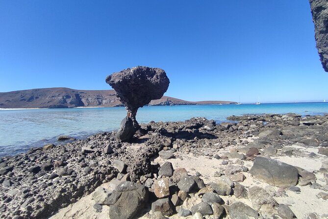 Full Day Tour to Balandra Beach, Todos Santos and La Paz - Summary and Final Thoughts