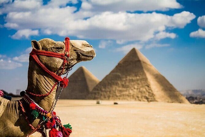 Full Day Tour to Cairo from Sharm El Sheikh By Bus all including - Starting Point and Transportation