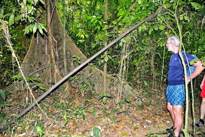 Full-Day Tour to Cheow Lan Lake in Khao Sok National Park from Krabi - Final Thoughts