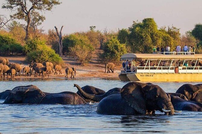 Full Day Tour to Chobe National Park and Botswana - Key Points
