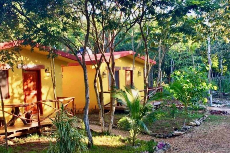 Full Day Tour to Cobá Ruins, Punta Laguna & Cenote - FAQ