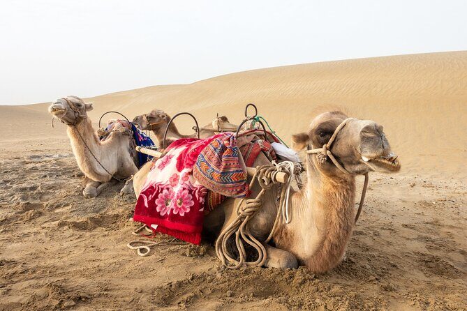 Full Day Tour to Desert Trip in Agadir with Lunch - A Closer Look at the Itinerary