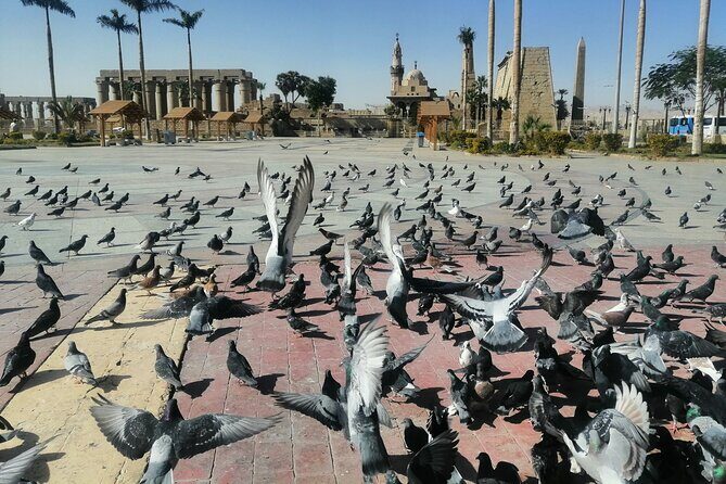 full day Tour to east and west bank of Luxor - The Itinerary in Detail: What to Expect at Each Stop