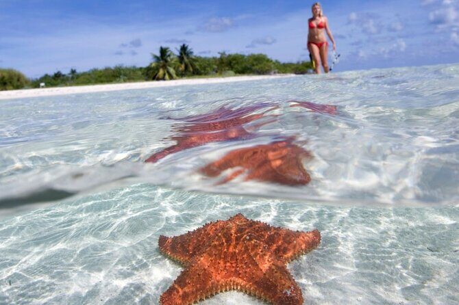 Full day tour to El Cielo in Cozumel Snorkeling and Lunch - Key Points