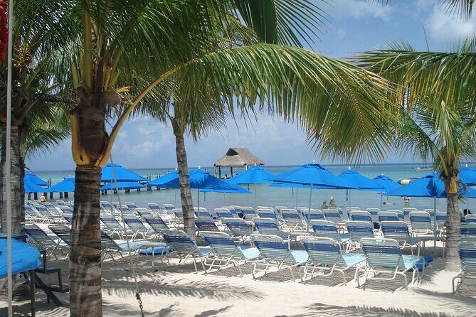 Full day tour to El Cielo in Cozumel Snorkeling and Lunch - An Overview of the Tour Experience