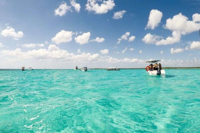Full day tour to El Cielo in Cozumel Snorkeling and Lunch - Final Thoughts