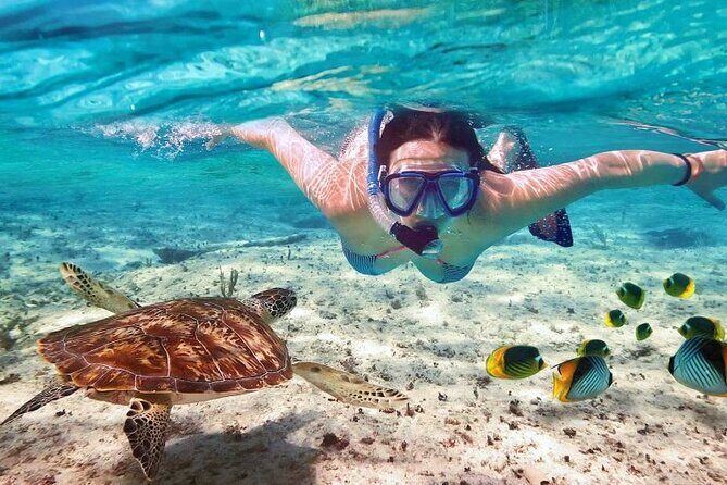 Full day tour to El Cielo in Cozumel Snorkeling and Lunch - FAQ