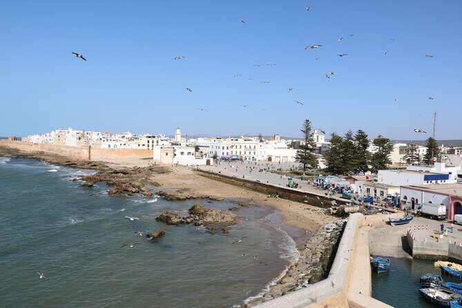 Full Day Tour To Essaouira Mogador From Marrakech - How the Tour Adds Value
