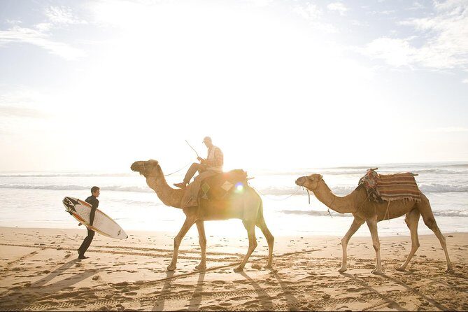 Full-Day Tour to Essaouira - The Ancient Mogador City from Marrakech - Practical Details You Should Know