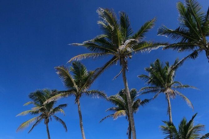 Full Day Tour to Isla Contoy and Isla Mujeres from Cancun - What’s the Itinerary Like?