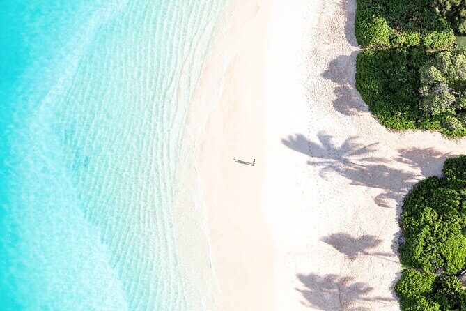 Full-Day Tour to Kailua Hawaii with Return Trip Shuttle - What Travelers Say