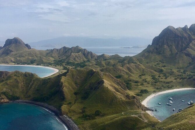Full Day Tour to Komodo Island By Speed Boat to explore 6 destinations - The Experience: Highlights and Challenges