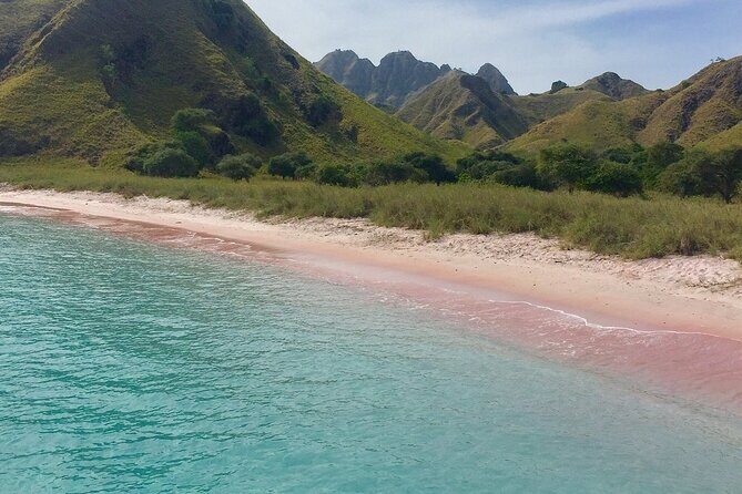 Full Day Tour to Komodo Island By Speed Boat to explore 6 destinations - FAQ