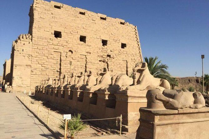 Full Day Tour to Luxor (East & West Bank) - Insights from Travelers’ Reviews
