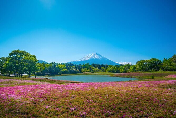 Full Day Tour to Mount Fuji in Spanish - Key Points