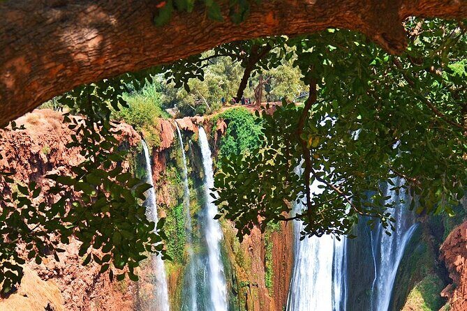 Full Day Tour to Ouzoud Waterfall - Key Points
