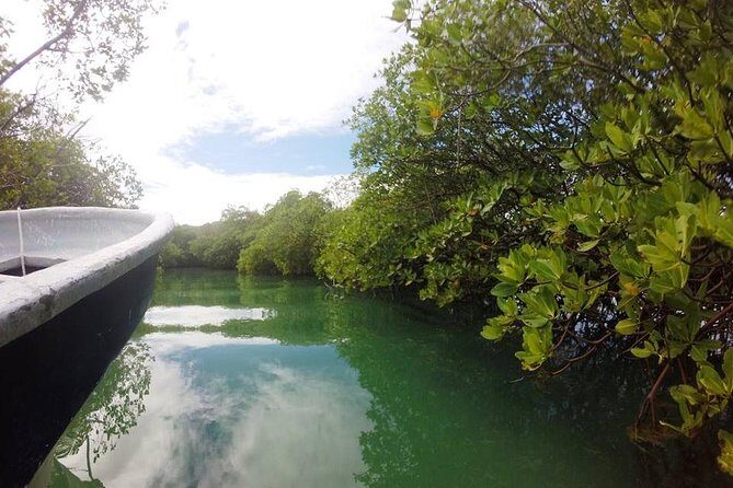 Full-Day Tour to Punta Rucia and Cayo Arena with Snorkeling - FAQs