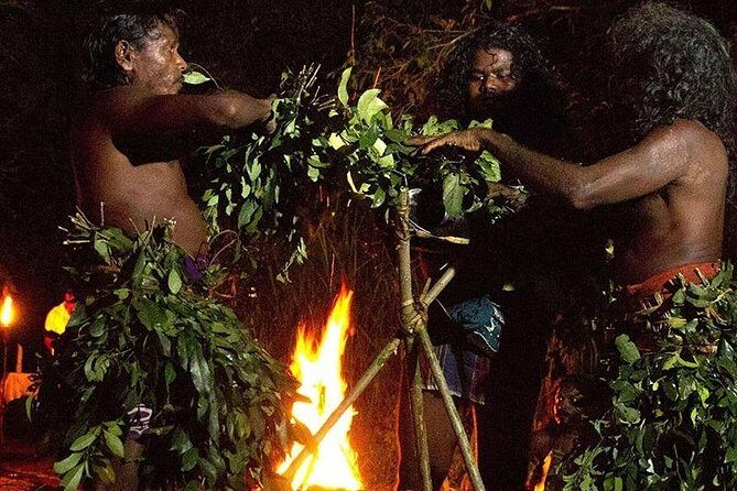 Full Day Tour to Remote Jungle Village - Key Points