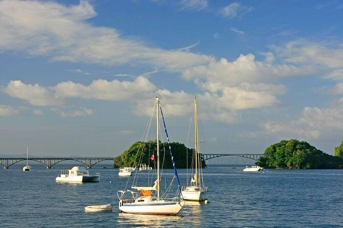 Full day tour to samana bay from punta cana - Key Points