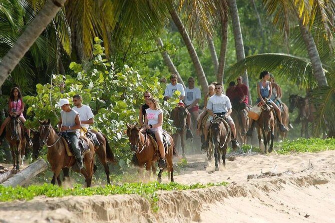 Full day tour to samana bay from punta cana - The Practicalities of Transportation and Group Size