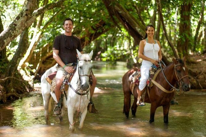 Full day tour to samana bay from punta cana - What Do the Reviews Say?
