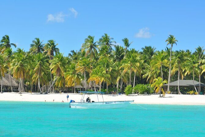 Full Day Tour to Saona Island by Catamaran and Speedboat - Who Should Consider This Tour?