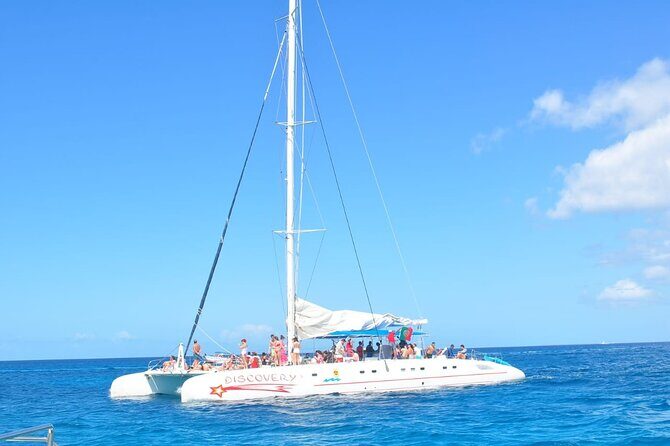 Full Day Tour to Saona Island by Catamaran and Speedboat - FAQ