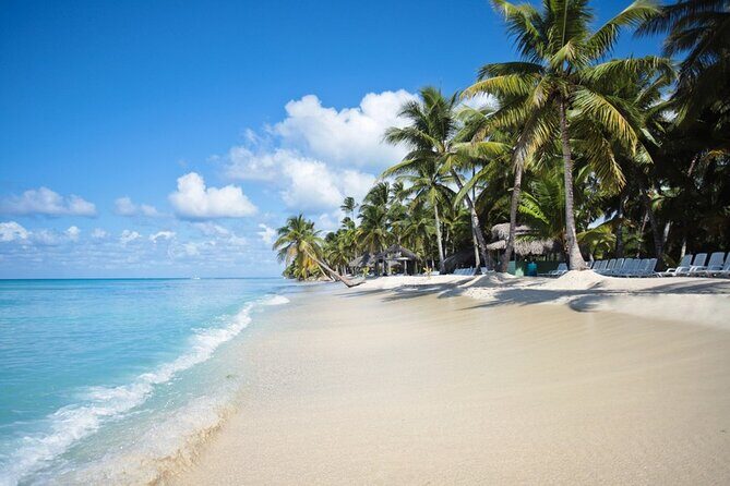 Full-Day Tour to Saona Island Sailing with Lunch and Beverages - Key Points