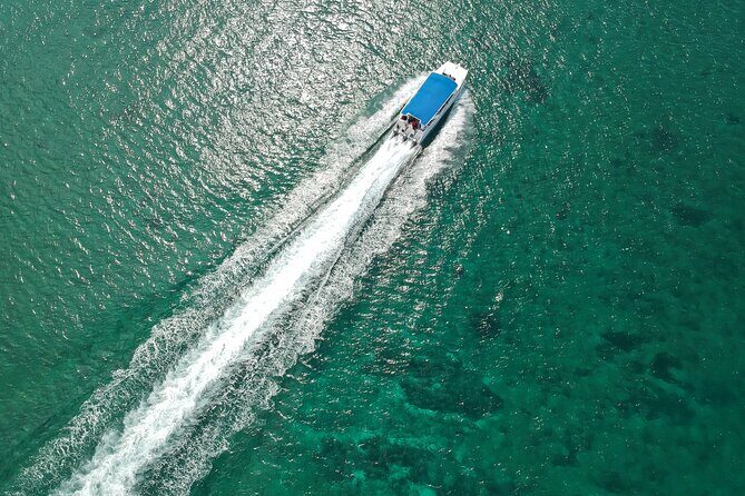 Full-Day Tour to Saona Island Sailing with Lunch and Beverages - Introduction: Is the Saona Island Sailing Tour Right for You?
