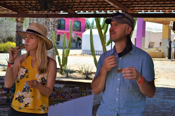 Full Day Tour to Tequila and Amatitan with Fun and Culture - Who Should Book This Tour?