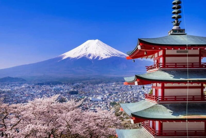 Full-Day Tour to the Picturesque Spots of Mount Fuji - Key Points