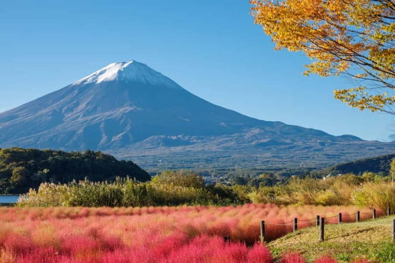 Full-Day Tour to the Picturesque Spots of Mount Fuji - Final Thoughts