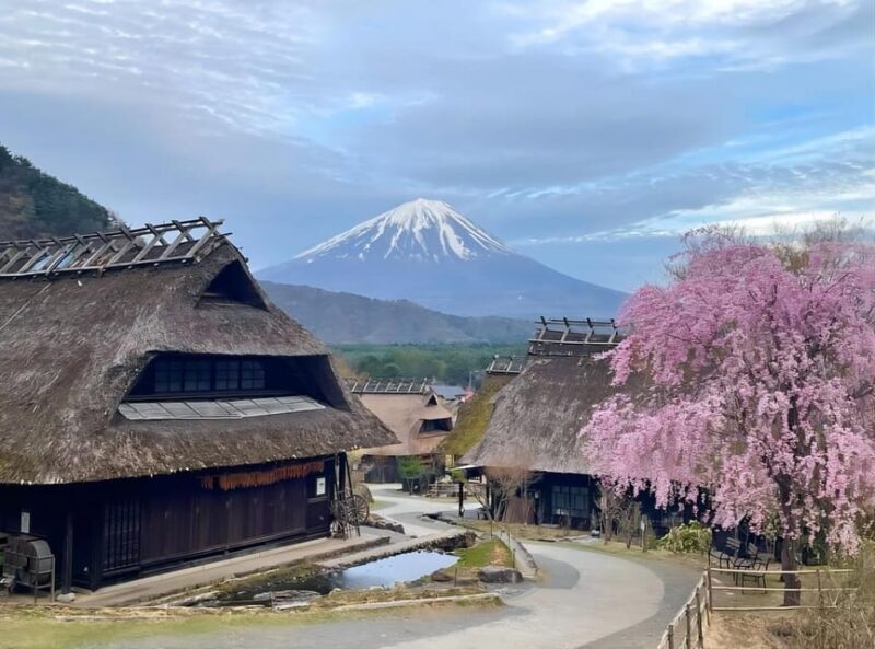 Full-Day Tour to the Picturesque Spots of Mount Fuji - FAQ