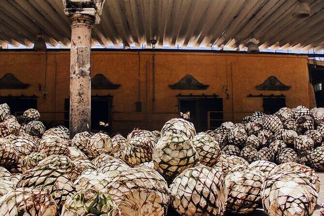 Full day tour to the Yucatan Peninsula - FAQ