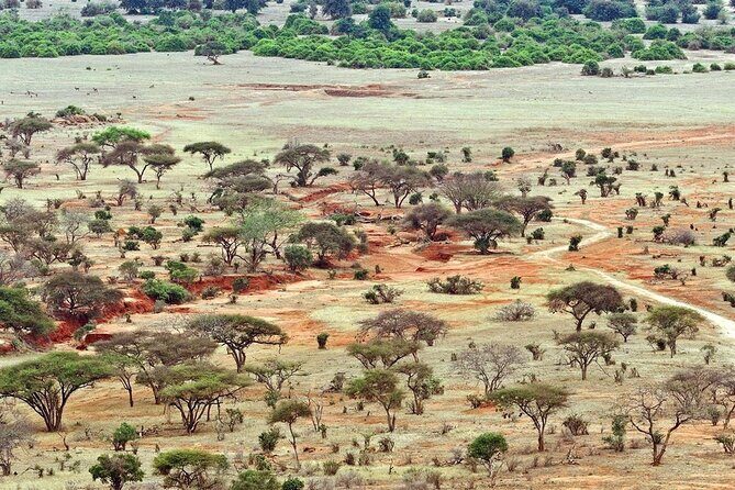 Full Day tour to Tsavo East National Park from Mombasa - Key Points