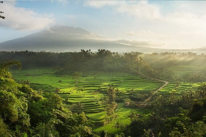 Full Day Tour to Water Temples UNESCO Rice Terraces in Bali - Key Points