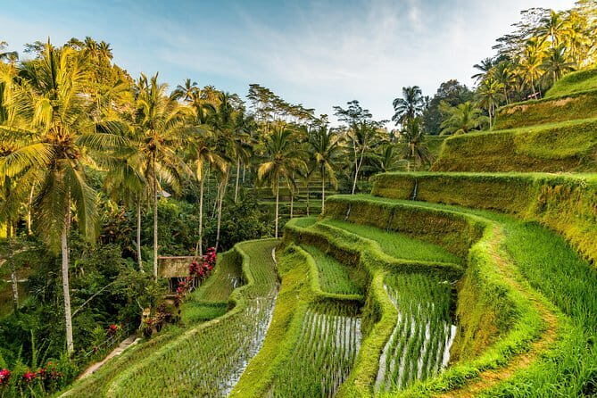 Full Day Tour to Water Temples UNESCO Rice Terraces in Bali - The Sum Up