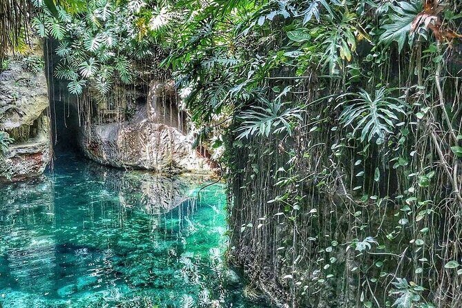 Full-Day Tour to Yucatecan Haciendas & Their Amazing Cenotes - What Makes This Tour Stand Out?