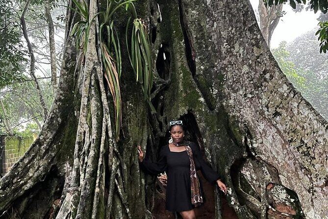 Full Day Tour Waterfalls Quad biking and Aburi Botanical Gardens - FAQ