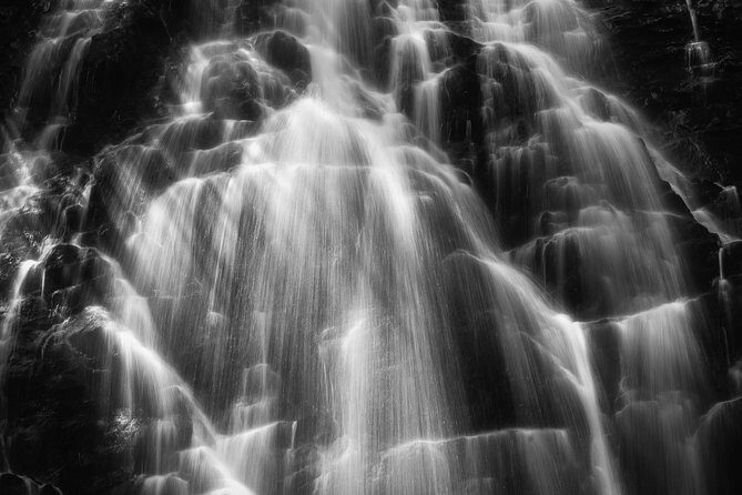 Full-Day Tour With Instruction in Vistas & Waterfall Photography - Who Should Sign Up?