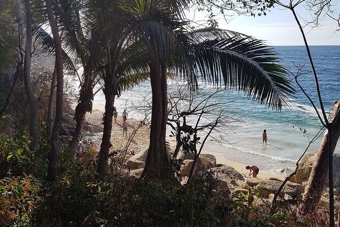 Full-Day Trail to 6 hidden Beaches, Colomitos and Snorkel - Real Traveler Insights: Pros and Cons