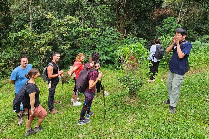 Full-Day Trekking and Sightseeing Tour in Mae Kampong - Frequently Asked Questions