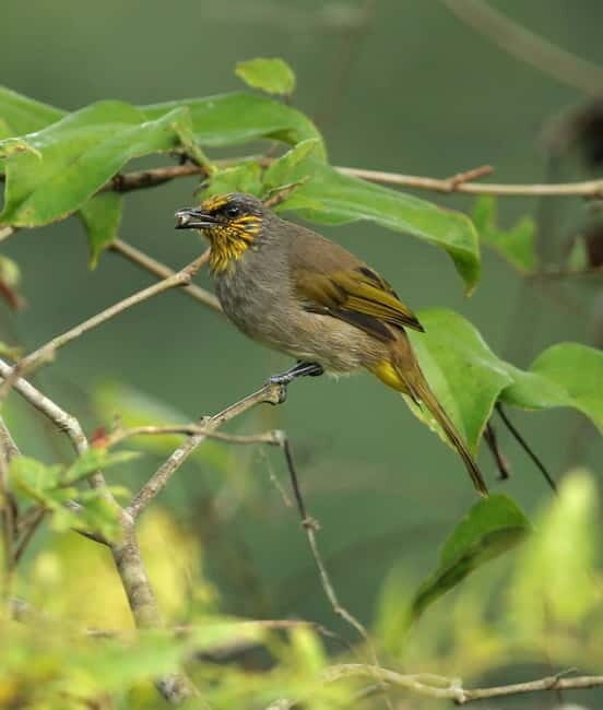 Full-Day Trekking, Biking Explore Cat Ba National Park - Our Overall Impression