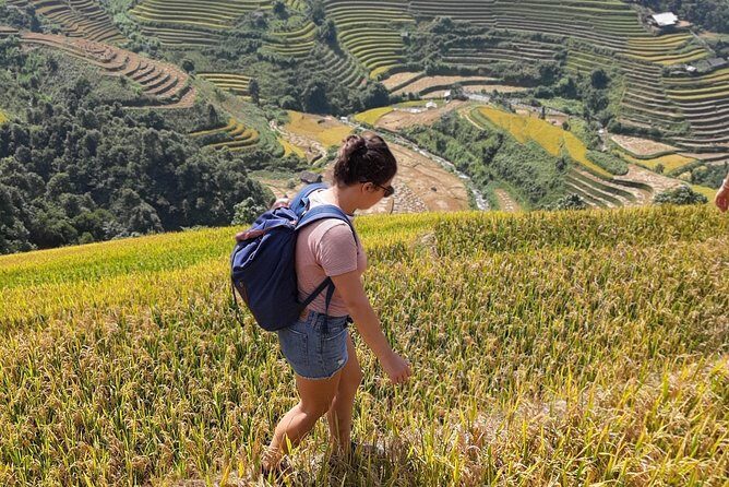 Full Day Trekking Mu Cang Chai - Who Will Love This Tour?