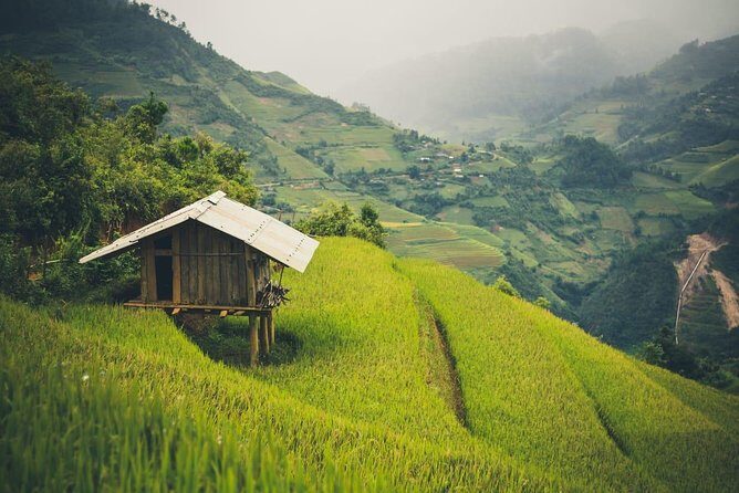 Full Day Trekking Mu Cang Chai - FAQ
