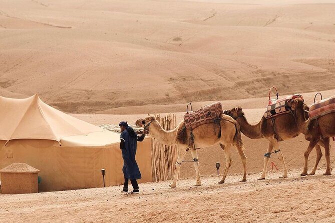 Full Day Trip Agafay Desert Atlas Mountains Camel Ride Quad Bike - The Sum Up