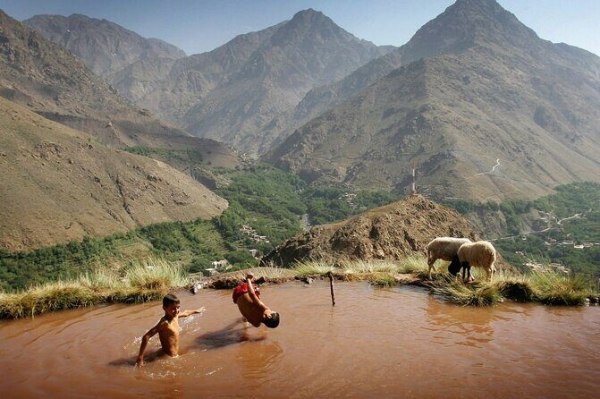 Full Day trip from Marrakech & there valleys with camel ride - Exploring the Itinerary in Detail