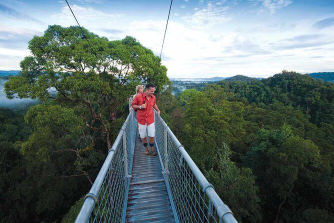 Full Day Trip of Brunei Ulu Temburong National Park including Canopy Walk - A Detailed Look at the Ulu Temburong Tour