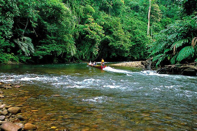 Full Day Trip of Brunei Ulu Temburong National Park including Canopy Walk - Who Would Love This Tour?